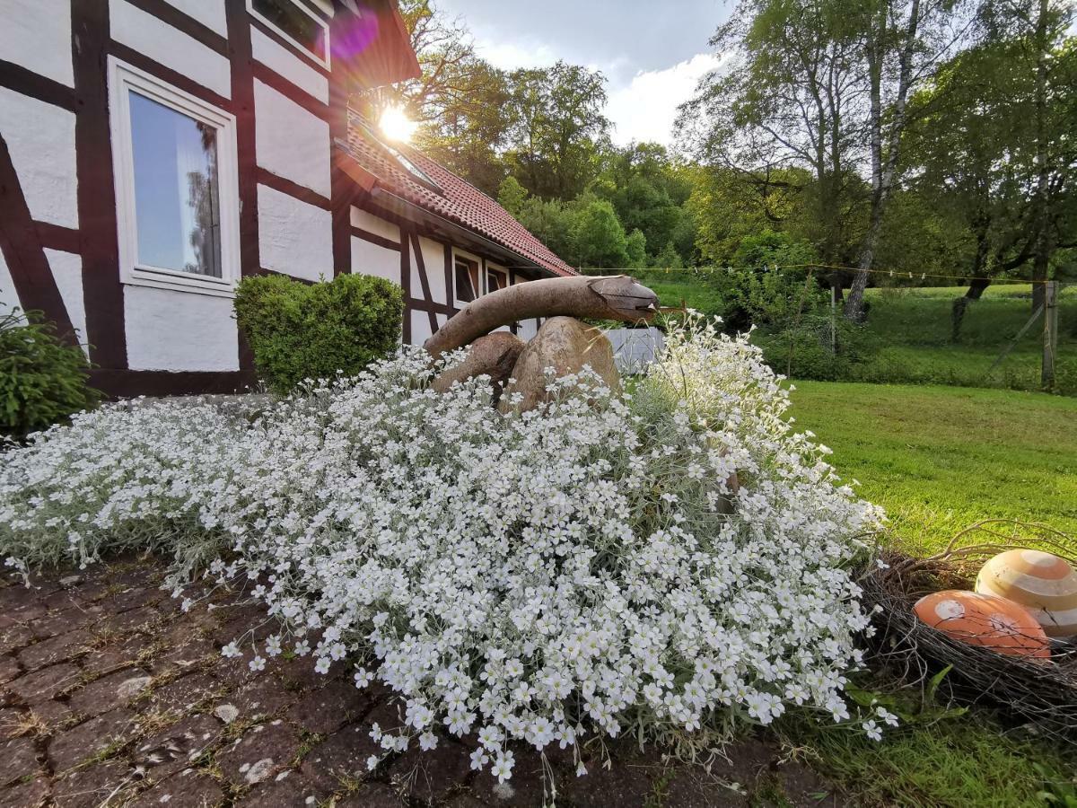 Ferienhof Ehlers Hulsede Dış mekan fotoğraf