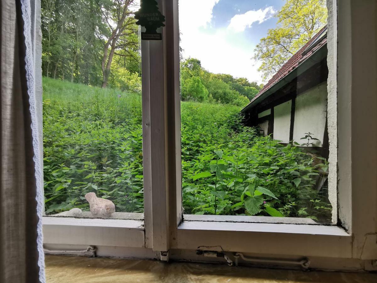 Ferienhof Ehlers Hulsede Dış mekan fotoğraf