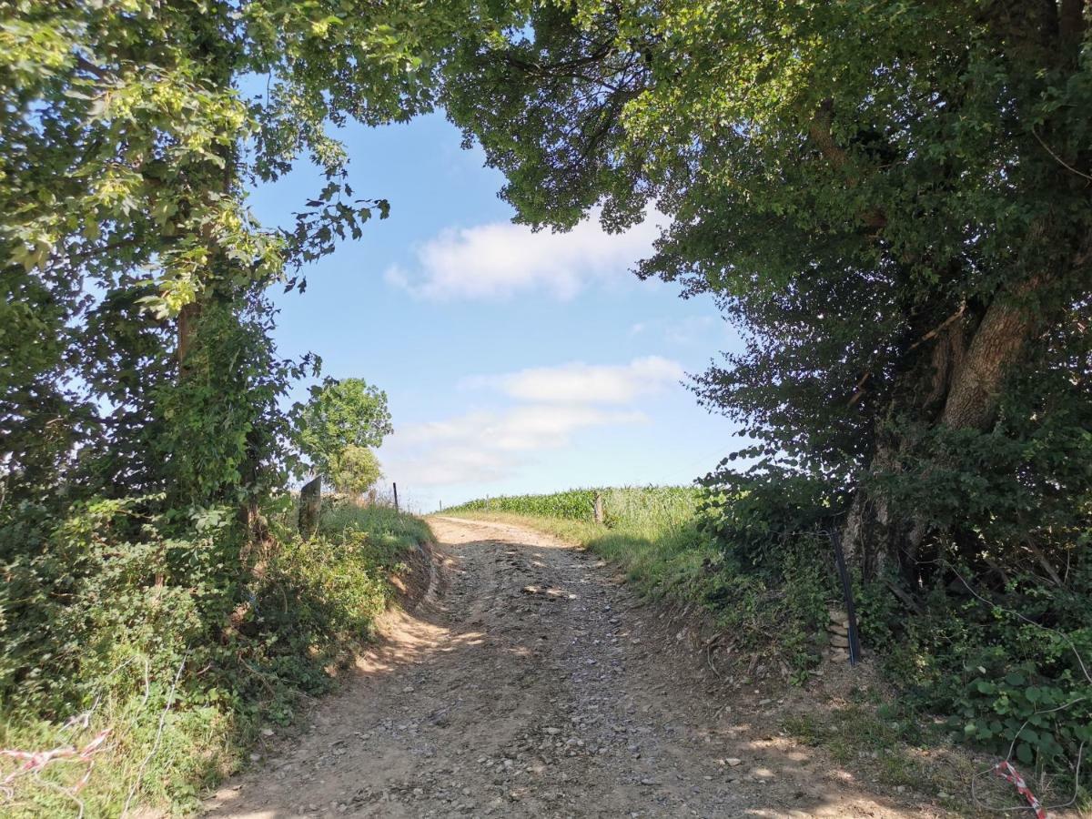 Ferienhof Ehlers Hulsede Dış mekan fotoğraf
