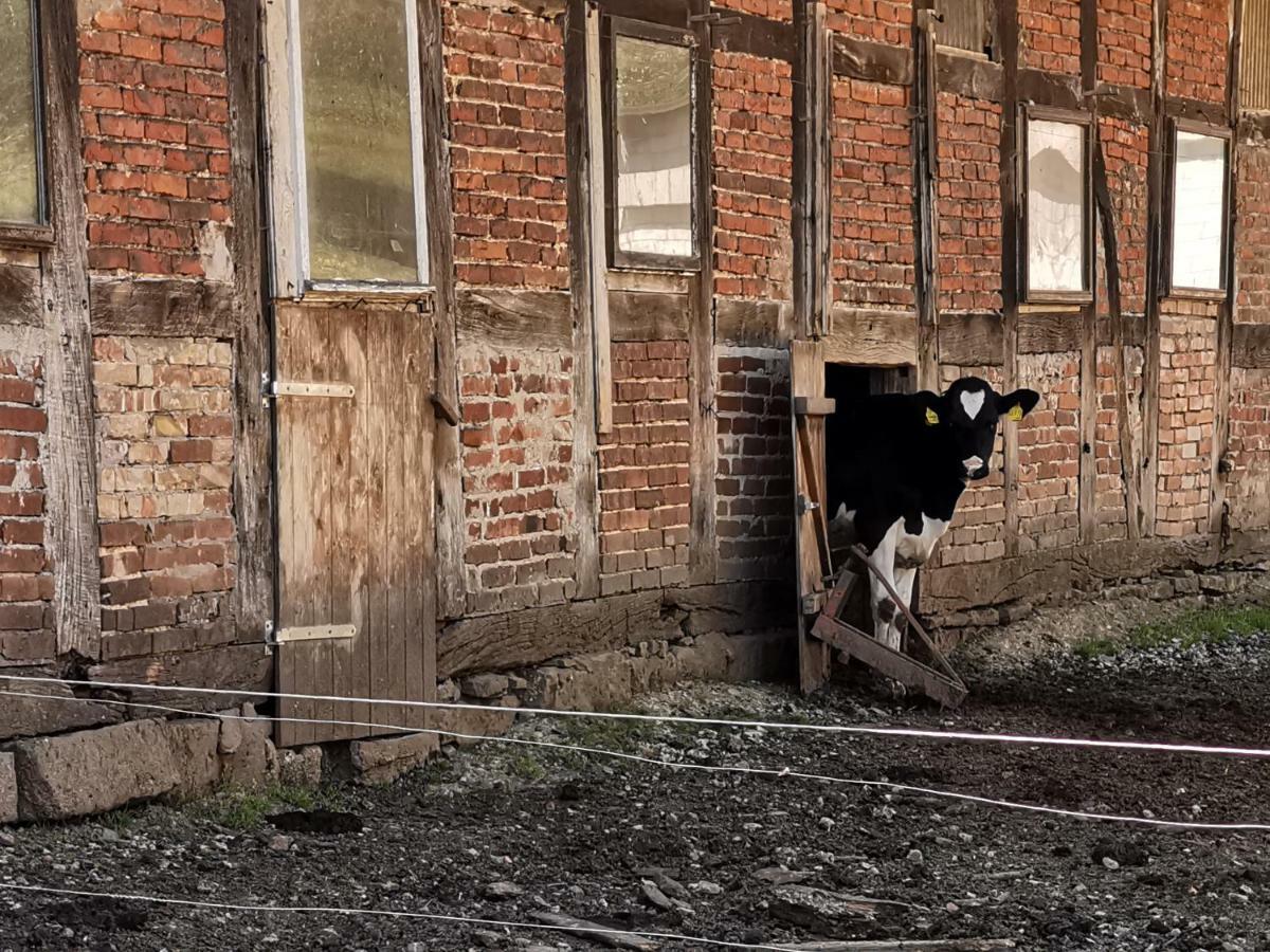Ferienhof Ehlers Hulsede Dış mekan fotoğraf